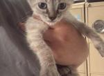 Buddy Profile