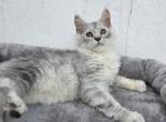 Jasmine Reserved Profile