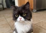 Bazouna Profile