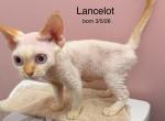 Lancelot Profile