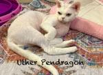 Uther Pendragon Profile