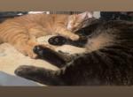 Jasper and Anubis Profile