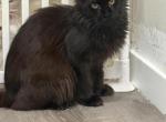 Zuri make reasonable offer Profile