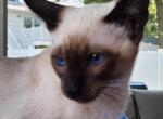 MALI Profile