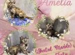 Amelia Profile