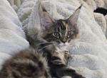 Darla Profile