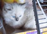 Potpourri's Litter Profile