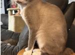 Jazzys baby darling Profile