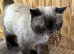 Felan Profile