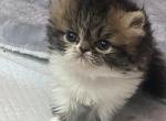 Tabby GIRL_ReSErved Profile