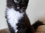 Space Litter Profile