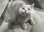 Lucy Profile