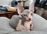 Hopper Profile