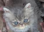 Trudy's babies Profile