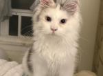 Freya Profile