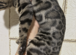 Zenna Profile