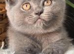 Nala Profile