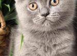 Nala Profile