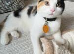 Marsha Profile