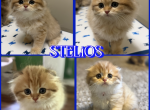 STELIOS Profile