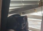Mittens Profile