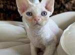 May Litter Profile