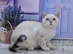 Jina1 Profile