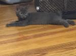 Hazels babyboy Profile