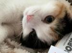 Marsha Profile