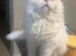 Timmy Profile