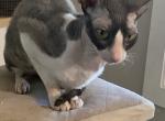 Brianna Profile