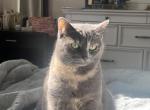 Lily Profile