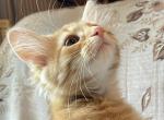 Surprise Profile