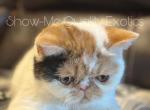 Frannie Profile