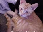 Tigger Profile