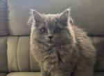 Zoe Profile