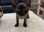 Oliver Profile