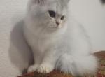 Marcy Profile