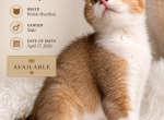Oliver Profile
