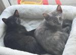 Luna and Latto Profile