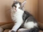 Loki Profile