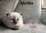 Muffin RESERVED Profile