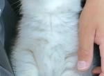 teddy Profile