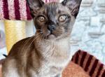 Uma Profile