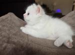 Oliver Profile