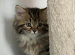 Teddy Profile