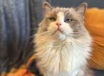 Malone Profile
