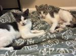 Siblings Profile
