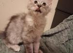 Oden Profile