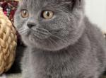 Nala Profile